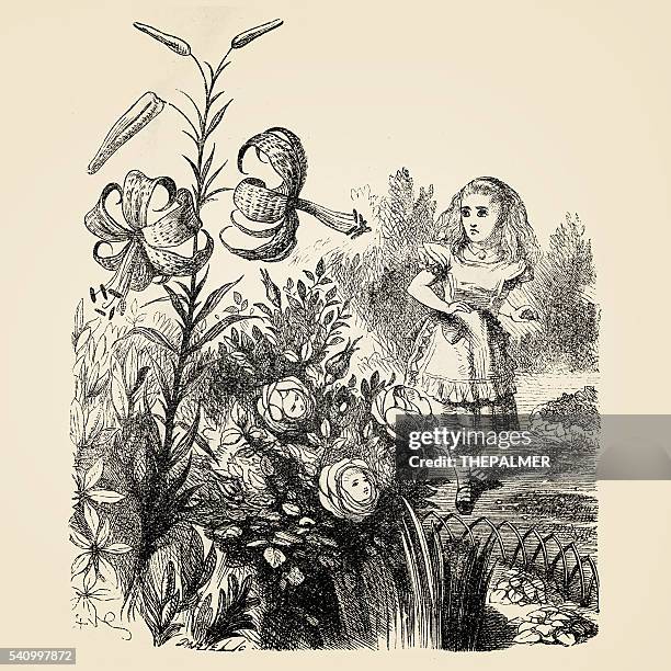 alice and the flowers engraving 1899 - alice in wonderland garden stock illustrations