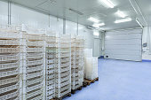 Inside of Big Industrial Refrigerator Storage at -30 Celcius