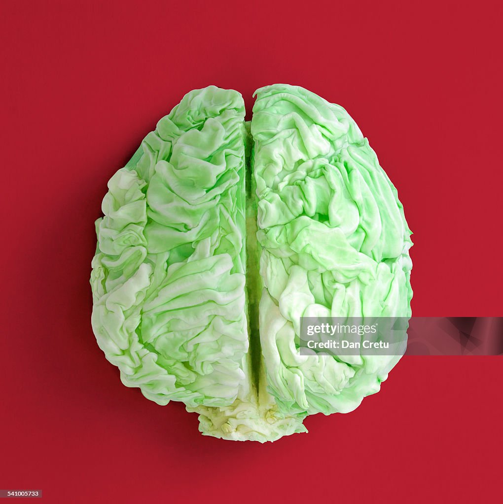 Cabbage Brain