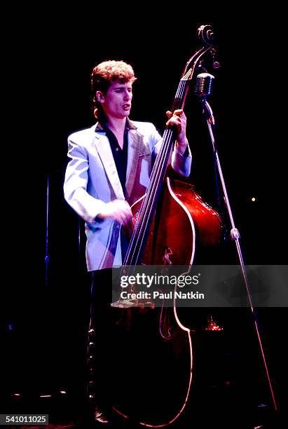 American musician Lee Rocker , of the band the Stray Cats, plays upright bass as he performs onstage, Chicago, Illinois, October 28, 1983.