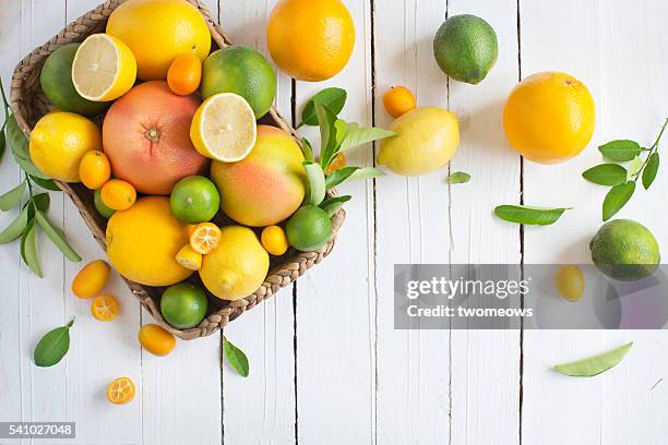 citrus fruits family on rustic white wooden background. horizontal view. text space images. - citrus fruit stock-fotos und bilder