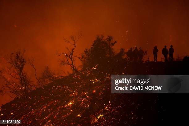 Firefighters stand in a freshly scorched landscape, June 17, 2016 at the Sherpa Fire near Santa Barbara,California. - A fire in the Los Padres...