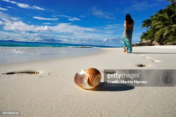 woman strolling along anse victorin - fregate stock pictures, royalty-free photos & images