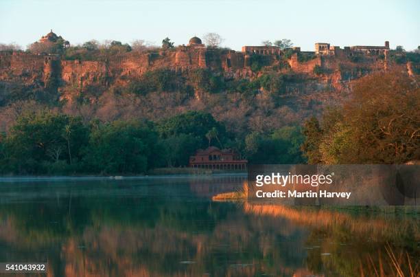 rathambore fort and lake - ranthambore fort stock pictures, royalty-free photos & images