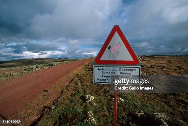 sign for ethiopian wolf - wol stock pictures, royalty-free photos & images