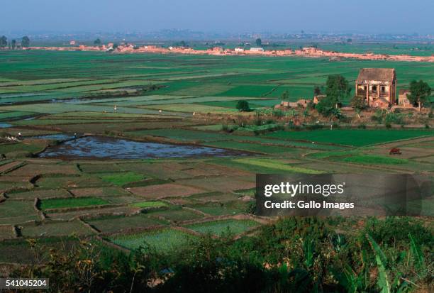 rice fields and agriculture around antananarivo - antananarivo stock pictures, royalty-free photos & images