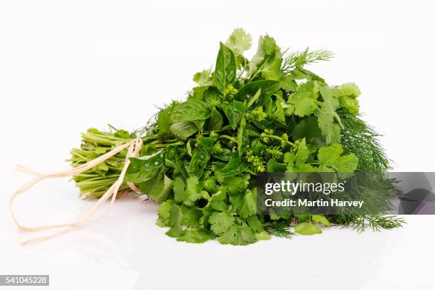 herb bouquet - herb stock pictures, royalty-free photos & images