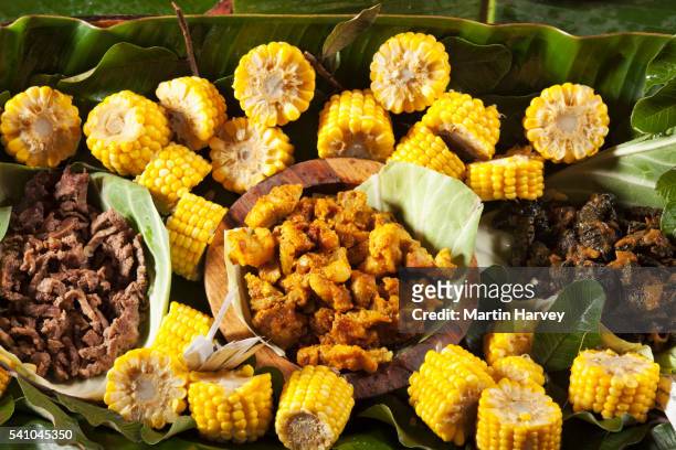 various appetizers - south africa food stock pictures, royalty-free photos & images