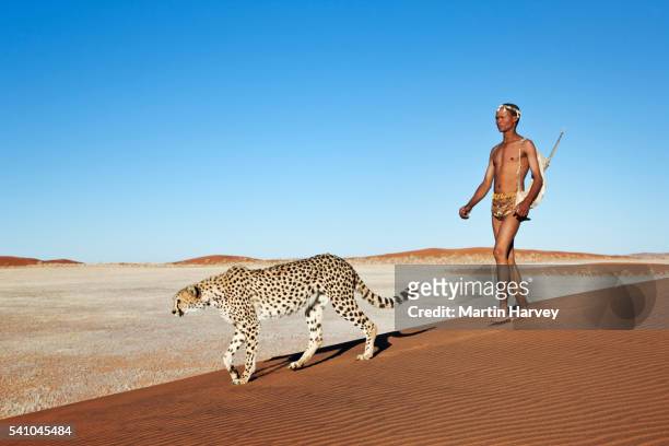 san hunter walking with a cheetah - namib desert stock pictures, royalty-free photos & images