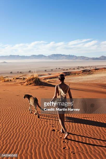 san hunter walking with cheetah in the namib desert - namib stock-fotos und bilder