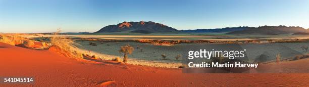 southwest namib desert - namib stock-fotos und bilder