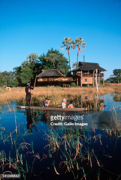 botswana men punting tourists though okavango delta - okavango delta stock pictures, royalty-free photos & images