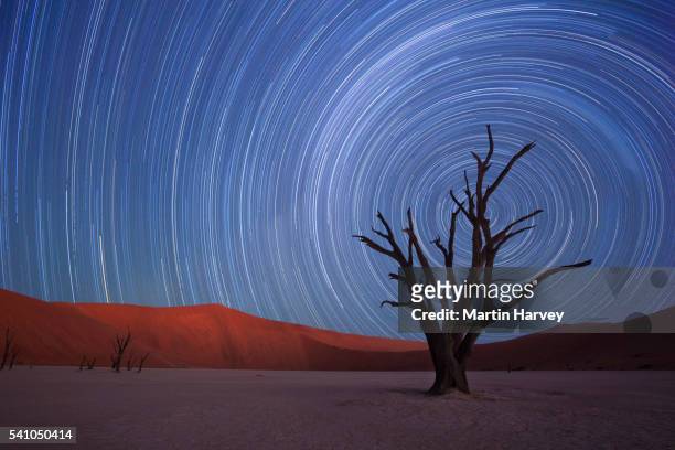 star trails,dead vlei, sossusvlei,namibia - namibia sternenhimmel stock-fotos und bilder