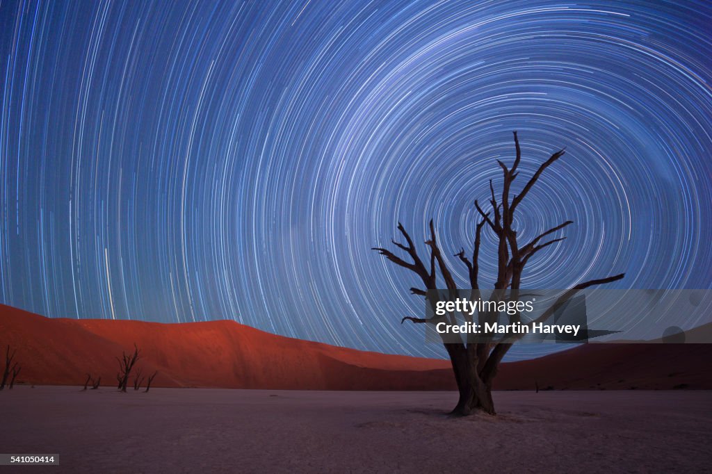 Star trails,Dead Vlei, Sossusvlei,Namibia