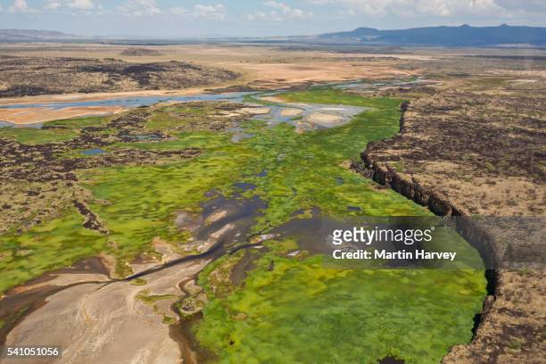 aerial view of suguta river in the great rift valley. kenya - rift valley stock pictures, royalty-free photos & images