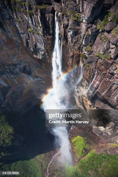 angel falls, venezuela - angel falls stock pictures, royalty-free photos & images