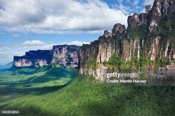 aerial view of tepuis - venezuela aerial stock pictures, royalty-free photos & images