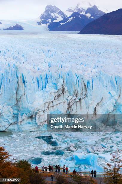 tourists viewing the perito moreno glacier - moreno gletscher stock-fotos und bilder