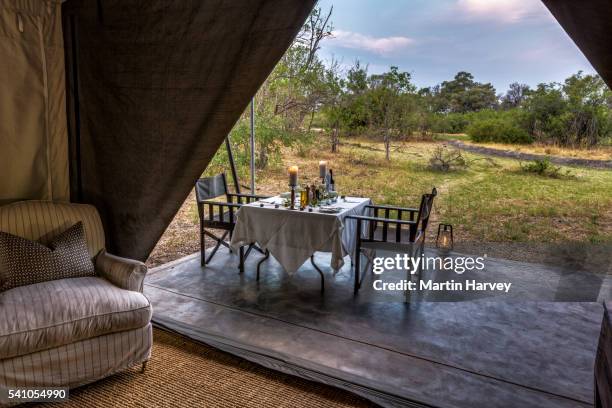 dining outside of luxury tent. machaba camp. okavango delta.botswana - private dining stock pictures, royalty-free photos & images