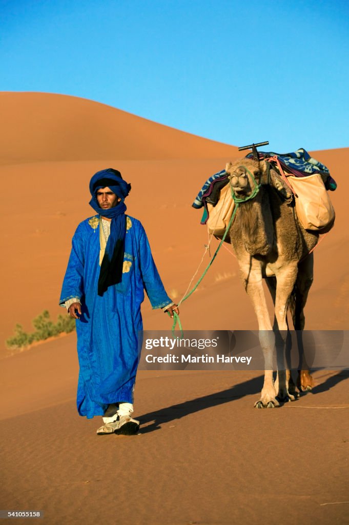 Tuareg Man Leading Camel