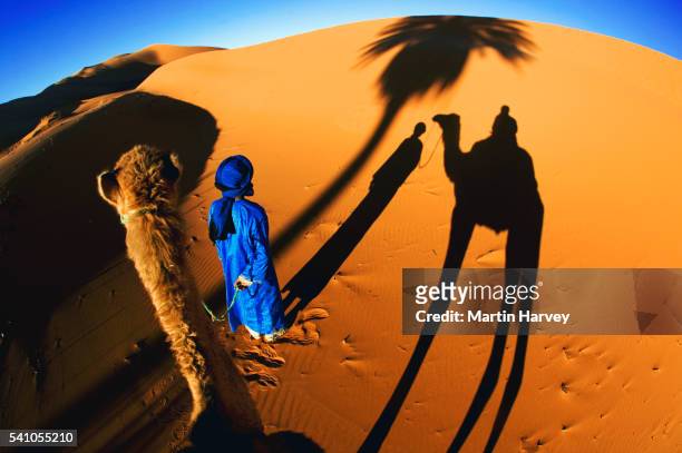 camel driver and shadow - dromedar stock-fotos und bilder