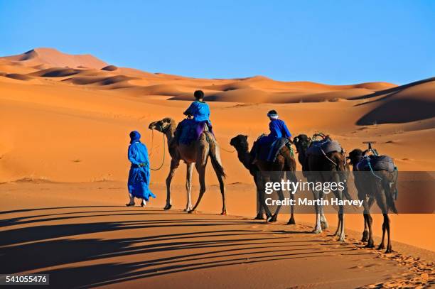 tuaregs crossing erg chebbi - tuareg stock pictures, royalty-free photos & images