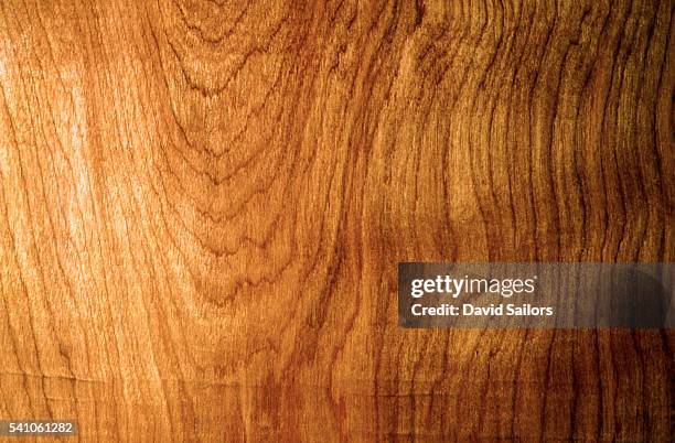 close-up of wood pattern - veia de madeira - fotografias e filmes do acervo