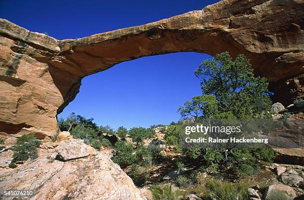 usa, utah, rainbow natural bridge - rainbow bridge utah stock pictures, royalty-free photos & images