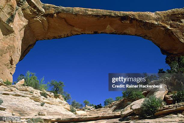 usa, utah, rainbow natural bridge - rainbow bridge utah stock pictures, royalty-free photos & images