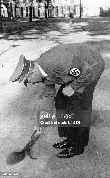1945Politiker, NSDAP, D- füttert ein Eichhörnchen im Garten derReichskanzlei in Berlin- veröffentlicht April 1939