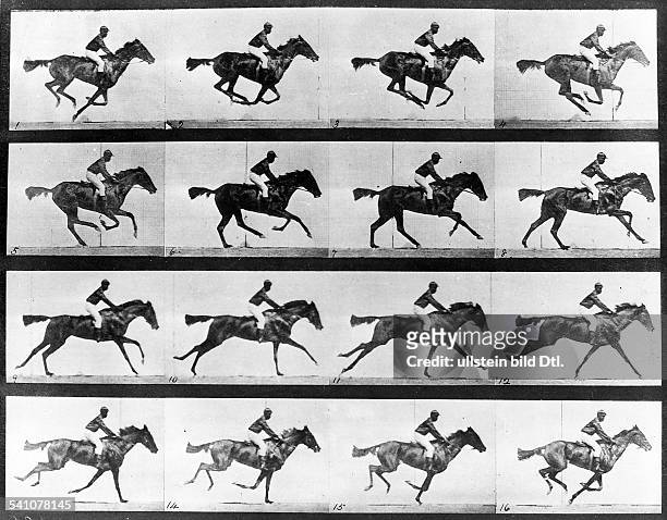 1904Fotograf, GBBewegungsstudie: galoppierendes Pferdmit Reiter