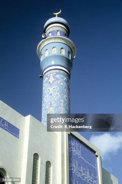 Azam Rasool Azam Photos and Premium High Res Pictures - Getty Images