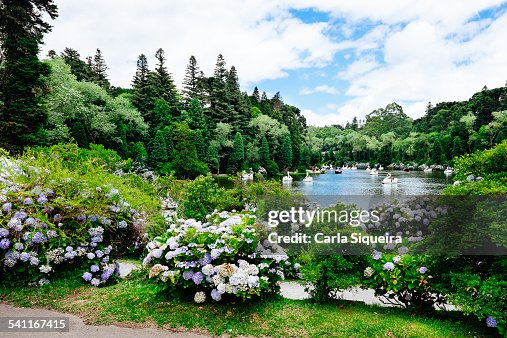 Black Lake Black Lake