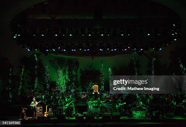 Steely Dan performs at the Hollywood Bowl Opening Night at the Hollywood Bowl on June 18, 2016 in Hollywood, California.