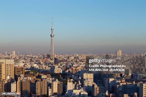 tokyo sky tree in evening shot - narita stock pictures, royalty-free photos & images