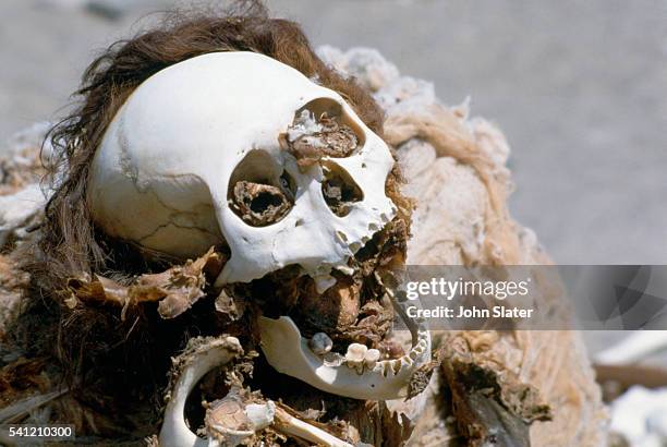 skull at cemetery - nazca stock-fotos und bilder