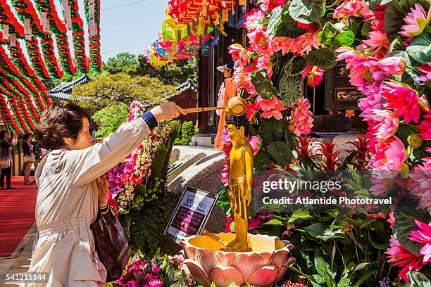 gangnam, bongeunsa temple, the buddha bathing ceremony during the lotus lantern festival - gangnam festival stock-fotos und bilder