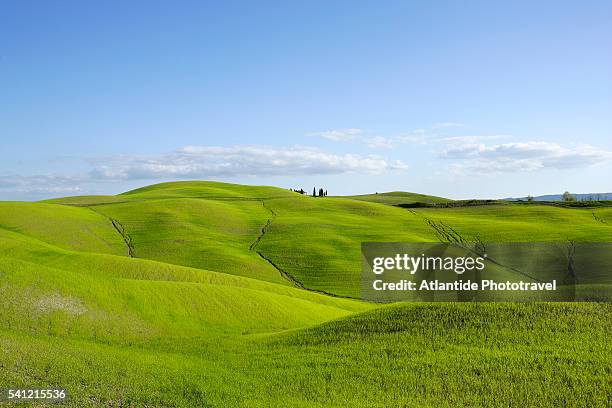 lush hills - hill stock pictures, royalty-free photos & images