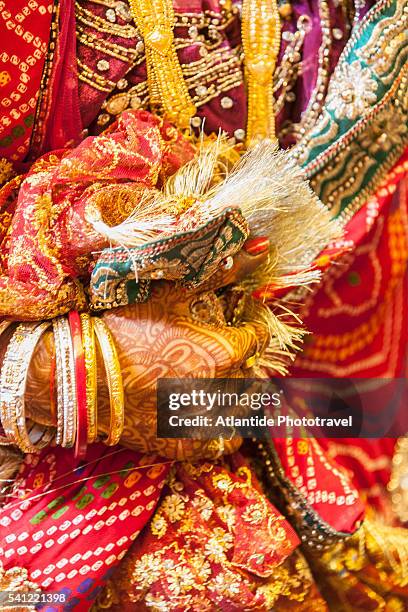 traditional wedding - sari stock pictures, royalty-free photos & images