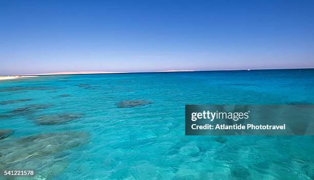 snorkeling reef in red sea - hurghada stock pictures, royalty-free photos & images