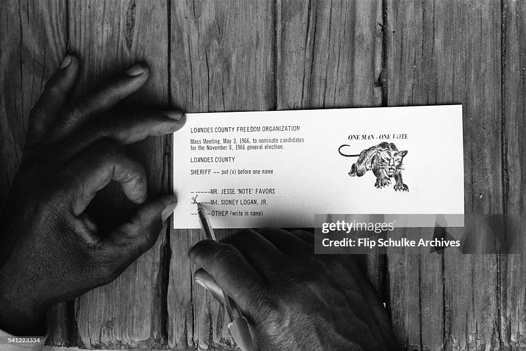 Black Panther Sample Ballot