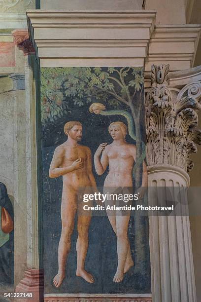 santa maria del carmine, cappella brancacci with frescos by masaccio and filippino lippi - adam and eve stock pictures, royalty-free photos & images