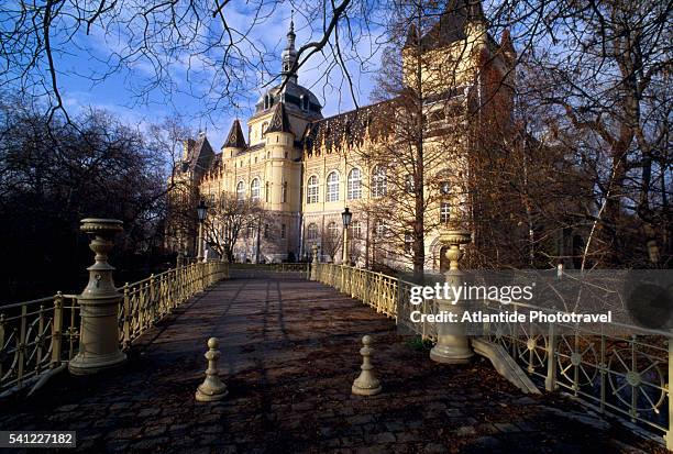 vajadahunyad castle - vajdahunyad castle stock pictures, royalty-free photos & images