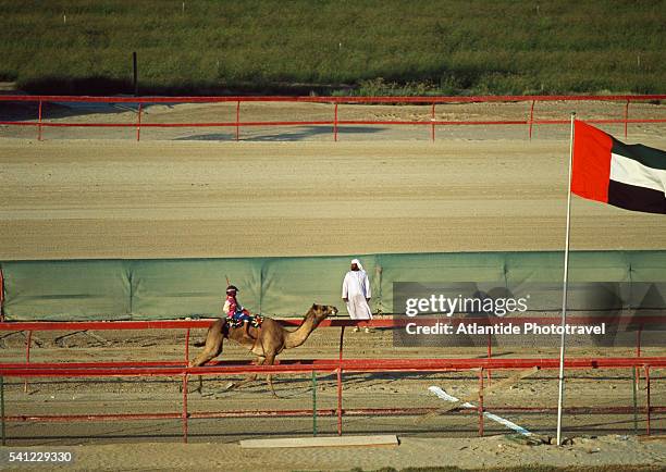 Camel Racing Track 3,566 Camel Race Stock Photos, High-Res Pictures, and Images - Getty Images