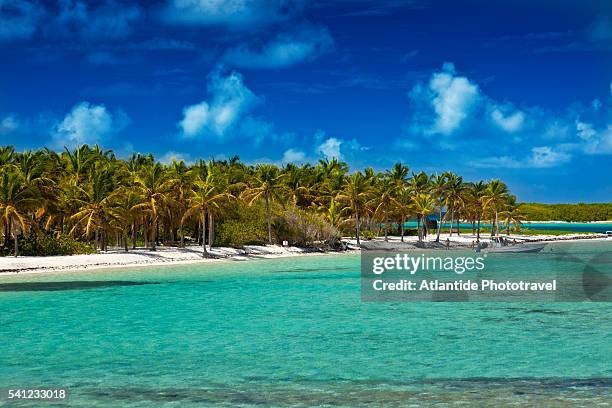 island of la petite terre - franse overzeese gebieden stockfoto's en -beelden