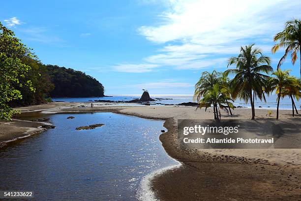 playa carrillo beach. - playa carrillo stock pictures, royalty-free photos & images