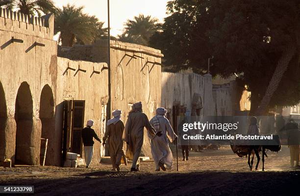going to market - faya largeau stock pictures, royalty-free photos & images