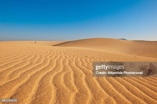 sand dunes at parque natural, south of the city - 沙漠 個照片及圖片檔