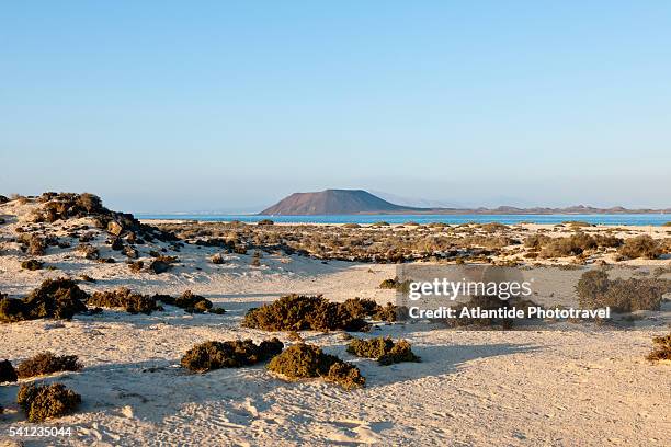 view of isla de lobos from the beach - fuerteventura fotografías e imágenes de stock