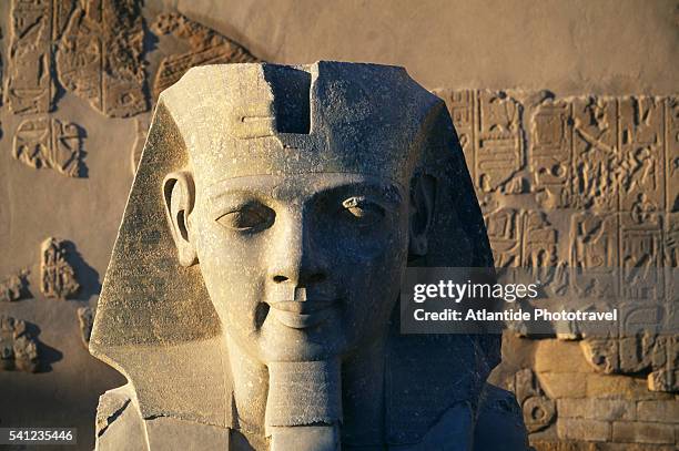 colossal head of ramesses at temple of luxor - pharaoh photos et images de collection